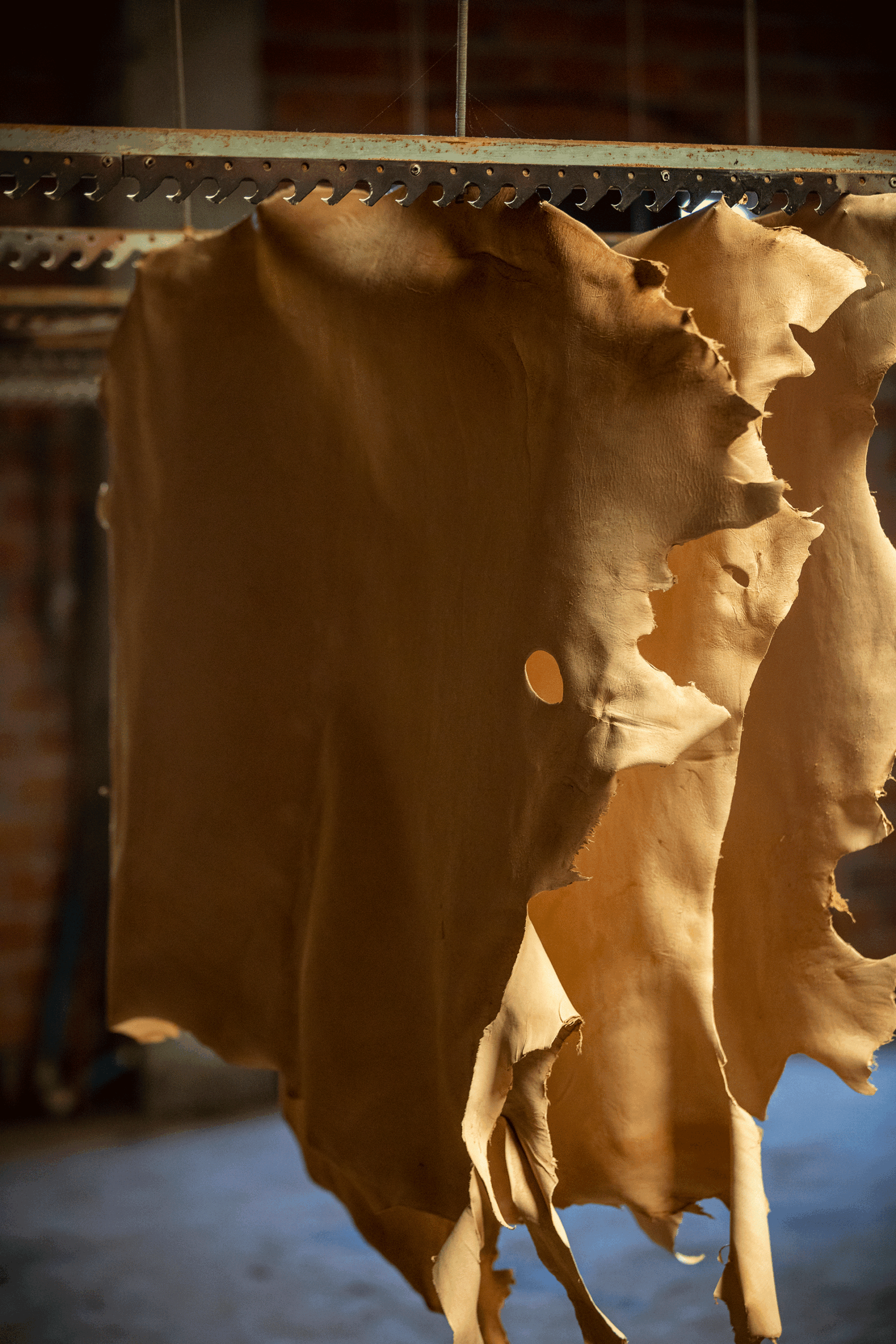 curtidos-hijos-victorino-sanchez-2023-0O3A1910